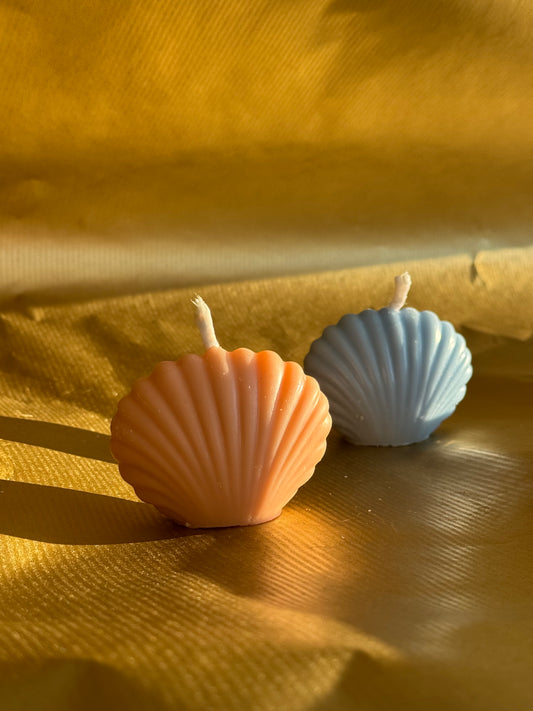 Muschel Kerze Mini